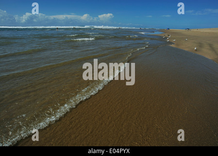 Saint Lucia, Kwa Zululu-Natal, Südafrika, Wellen auf Seashore, Cape Vidal Strand, iSimangaliso Wetland Park, Landschaft, Safari Stockfoto