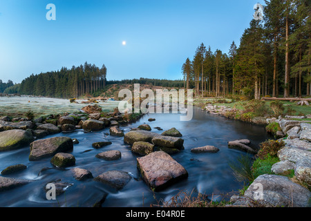 Twilight und Mondlicht an Bellever Forest auf Dartmoor National Park in Devon Stockfoto