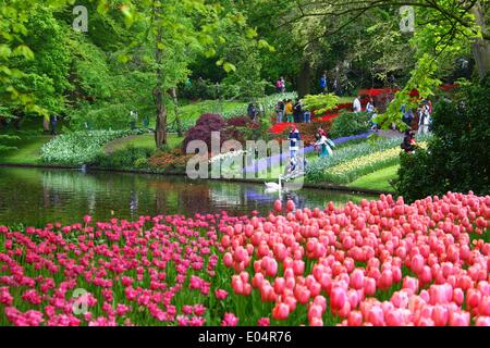 Lisse, Niederlande. 1. Mai 2014. Menschen besuchen den Garten der Keukenhof in Lisse, Niederlande, 1. Mai 2014. Keukenhof, auch bekannt als Garten Europas, ist der weltweit berühmteste Tulpe Garten, befindet sich in Lisse, Niederlande. Keukenhof ist mit Touristen, die Form auf der ganzen Welt kommen in der Regel von Mitte März bis Mitte Mai geöffnet. Bildnachweis: Gong Bing/Xinhua/Alamy Live-Nachrichten Stockfoto