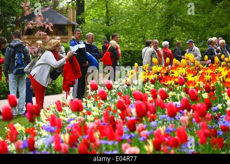 Lisse, Niederlande. 1. Mai 2014. Menschen besuchen den Garten der Keukenhof in Lisse, Niederlande, 1. Mai 2014. Keukenhof, auch bekannt als Garten Europas, ist der weltweit berühmteste Tulpe Garten, befindet sich in Lisse, Niederlande. Keukenhof ist mit Touristen, die Form auf der ganzen Welt kommen in der Regel von Mitte März bis Mitte Mai geöffnet. Bildnachweis: Gong Bing/Xinhua/Alamy Live-Nachrichten Stockfoto