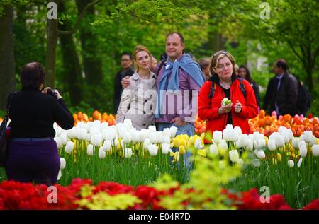 Lisse, Niederlande. 1. Mai 2014. Menschen besuchen den Garten der Keukenhof in Lisse, Niederlande, 1. Mai 2014. Keukenhof, auch bekannt als Garten Europas, ist der weltweit berühmteste Tulpe Garten, befindet sich in Lisse, Niederlande. Keukenhof ist mit Touristen, die Form auf der ganzen Welt kommen in der Regel von Mitte März bis Mitte Mai geöffnet. Bildnachweis: Gong Bing/Xinhua/Alamy Live-Nachrichten Stockfoto