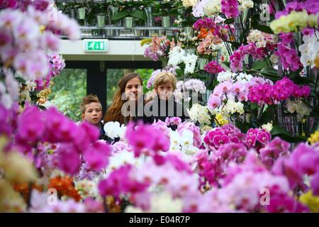 Lisse, Niederlande. 1. Mai 2014. Menschen besuchen den Garten der Keukenhof in Lisse, Niederlande, 1. Mai 2014. Keukenhof, auch bekannt als Garten Europas, ist der weltweit berühmteste Tulpe Garten, befindet sich in Lisse, Niederlande. Keukenhof ist mit Touristen, die Form auf der ganzen Welt kommen in der Regel von Mitte März bis Mitte Mai geöffnet. Bildnachweis: Gong Bing/Xinhua/Alamy Live-Nachrichten Stockfoto