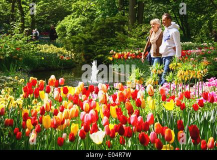 Lisse, Niederlande. 1. Mai 2014. Menschen besuchen den Garten der Keukenhof in Lisse, Niederlande, 1. Mai 2014. Keukenhof, auch bekannt als Garten Europas, ist der weltweit berühmteste Tulpe Garten, befindet sich in Lisse, Niederlande. Keukenhof ist mit Touristen, die Form auf der ganzen Welt kommen in der Regel von Mitte März bis Mitte Mai geöffnet. Bildnachweis: Gong Bing/Xinhua/Alamy Live-Nachrichten Stockfoto