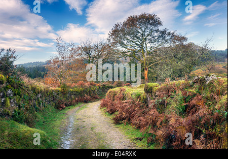 Ein Land-Strecke führt in Richtung Burrator auf Dartmoor National Park in Devon Stockfoto