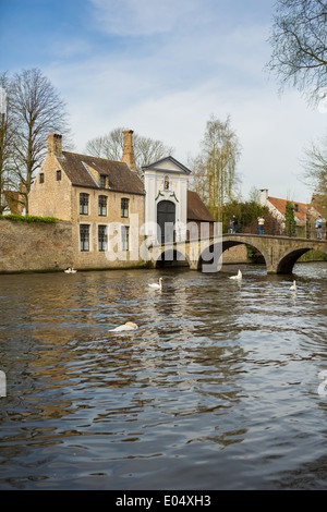 Das Begijnhof in Brügge, Brügge, Belgien Stockfoto