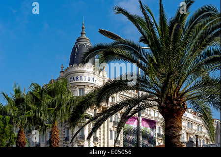 Europa, Frankreich, Alpes-Maritimes Cannes. Carlton Palasthotel. Stockfoto