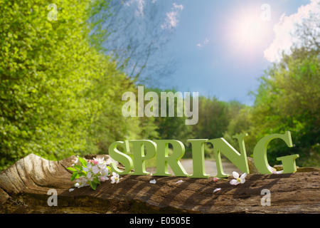 Frühling-Buchstaben auf Einloggen Feldweg mit Apfelblüte Stockfoto