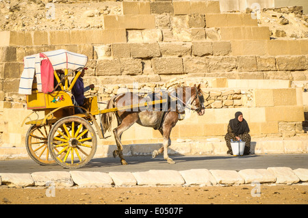 Pferdewagen in Gizeh, Ägypten Stockfoto