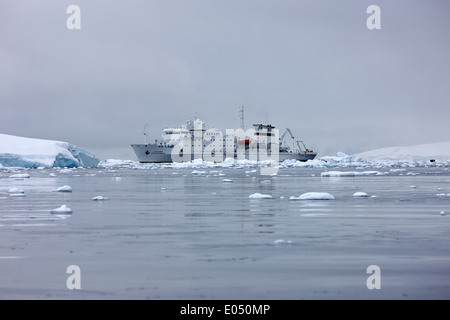 Akademik sergey Vavilov russischen Forschungsschiff in der Antarktis Fournier Bay Stockfoto