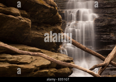 See fällt im Matthiessen State Park Stockfoto