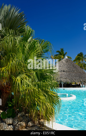 Ventilator-Palme am Pool und die Bar im Resort Urlaub in Varadero Kuba mit klaren blauen Himmel Stockfoto