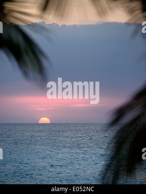 Rote Kugel Sonnenuntergang sinken unter Horizont über dem Atlantik in Varadero Kuba mit Palmen Stockfoto