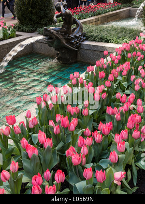 Frühling im Rockefeller Center, New York, Vereinigte Staaten Stockfoto