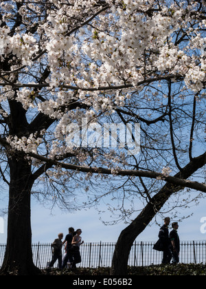 Silhouetten der Läufer auf dem Stausee, Jogging-Pfad, Central Park, New York, USA Stockfoto