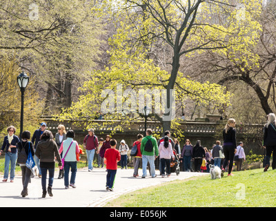 Menschen, die genießen A Frühling im Central Park, New York, USA Stockfoto