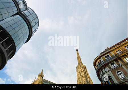 Der Stephansdom in Wien in Österreich, Der Stephansdom in der Stadt Wien in oesterreich Stockfoto