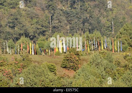 Gebetsfahnen, Dorf Sakteng auf Merak und Sakteng Trek, Ost Bhutan Stockfoto