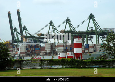 Container auf die Docks, Hafen von Singapur, Singapur Stockfoto