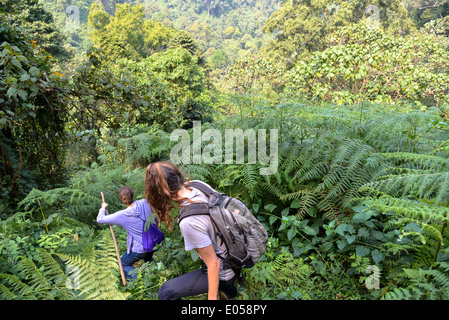 eine Gruppe von Touristen gehen für eine Wanderung um den Gorilla im Bwindi Nationalpark, Uganda finden Stockfoto