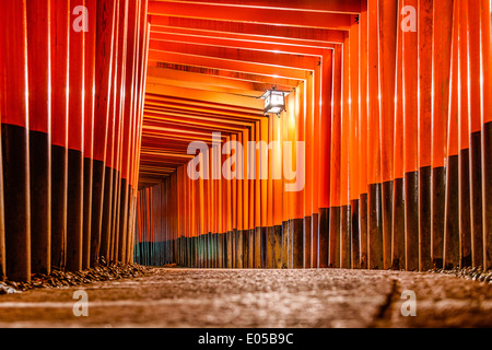 Fushimi Inari-Taisha Schrein Torii-Tore in Kyoto, Japan. Stockfoto
