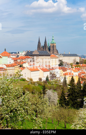 Prag - Blick auf den Hradschin Burg und st.-Veits-Dom im Frühjahr Stockfoto