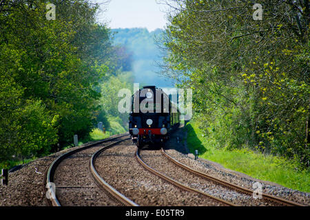 Brockham, Dorking, Surrey. Samstag, 3. Mai 2014. Die Belmond British Pullman VS Orient Express Steam Locomotive BR (S) Handelsmarine Clan Line Klasse 4-6-2 Nr. 35028 rast durch die Surrey Hills in Surrey, 1500hrs Samstag 3. Mai auf dem Weg nach London Victoria. Credit: Foto von Lindsay Constable / Alamy Live News Stockfoto