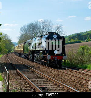 Brockham, Dorking, Surrey. Samstag, 3. Mai 2014. Die Belmond British Pullman VS Orient Express Steam Locomotive BR (S) Handelsmarine Clan Line Klasse 4-6-2 Nr. 35028 rast durch die Surrey Hills in Surrey, 1500hrs Samstag 3. Mai auf dem Weg nach London Victoria. Credit: Foto von Lindsay Constable / Alamy Live News Stockfoto