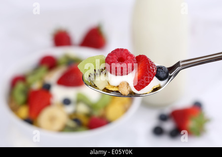 Früchte-Müsli mit Banane, Himbeeren, Kiwi, Erdbeeren und Heidelbeeren auf einem Löffel zum Frühstück Stockfoto