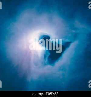 Der Reflexion-Nebel in Orion Stockfoto
