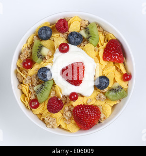 Früchte-Müsli mit Joghurt, Erdbeeren, Bananen, Himbeeren, Kiwi und Heidelbeeren in einer Schüssel von oben Stockfoto