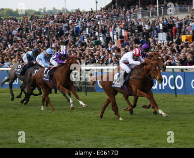 Newmarket, Großbritannien. 3. Mai 2014. Nacht des Donners unter Kieren Fallon gewinnt die Qipco 2000 Guineas während des 2014 Guineen Festivals von Newmarket. Bildnachweis: Aktion Plus Sport/Alamy Live-Nachrichten Stockfoto