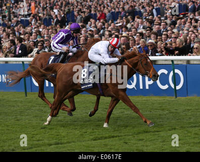 Newmarket, Großbritannien. 3. Mai 2014. Nacht des Donners unter Kieren Fallon gewinnt die Qipco 2000 Guineas während des 2014 Guineen Festivals von Newmarket. Bildnachweis: Aktion Plus Sport/Alamy Live-Nachrichten Stockfoto