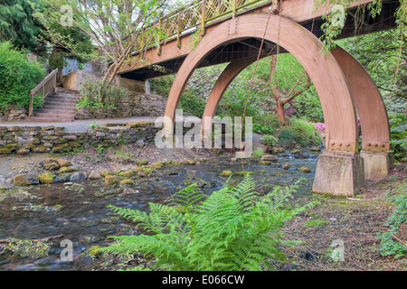 Hölzernen Fuß Brücke über Wasser Creek im Crystal Springs Garten im Frühling Stockfoto