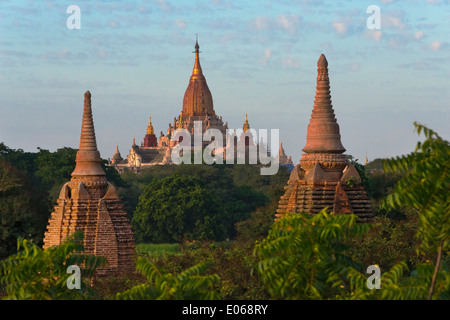 Tempel und Pagoden in den Dschungel bei Sonnenuntergang, Bagan, Myanmar Stockfoto