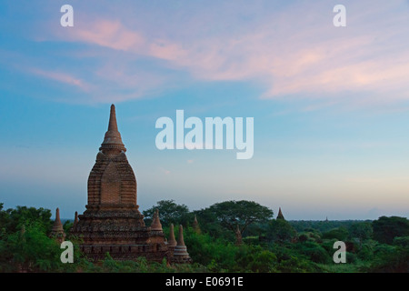 Tempel und Pagoden in den Dschungel bei Sonnenuntergang, Bagan, Myanmar Stockfoto