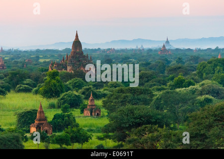 Tempel und Pagoden in den Dschungel bei Sonnenaufgang, Bagan, Myanmar Stockfoto