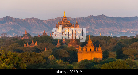 Tempel und Pagoden in den Dschungel bei Sonnenaufgang, Bagan, Myanmar Stockfoto