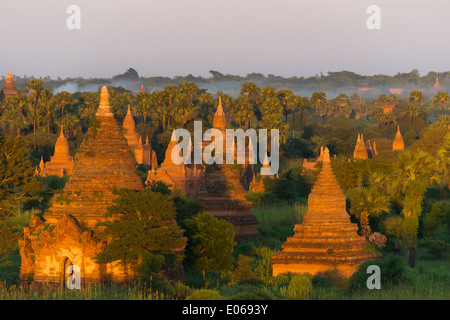 Antiken Tempeln und Pagoden in den Dschungel bei Sonnenuntergang, Bagan, Myanmar Stockfoto