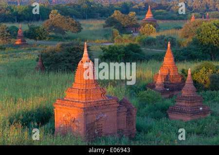 Antiken Tempeln und Pagoden in den Dschungel bei Sonnenuntergang, Bagan, Myanmar Stockfoto