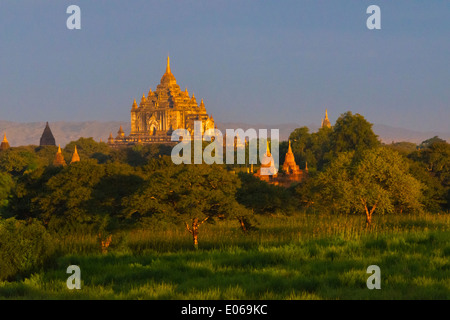 Antiken Tempeln und Pagoden in den Dschungel bei Sonnenaufgang, Bagan, Myanmar Stockfoto