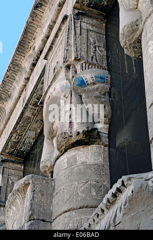 Ägypten, Dendera, ptolemäischen Tempel der Göttin Hathor. Ein Hathoric Kapital. Stockfoto