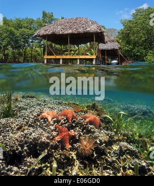 Tropischen Szene in der Karibik mit einem strohgedeckten Hütte über Wasser und unter Wasser ein Korallenriff mit Seestern Stockfoto