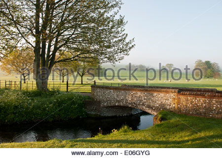 Parklandschaft Bäume Rasen Schafe Ansicht Sonne sonnigen blauen Himmel
