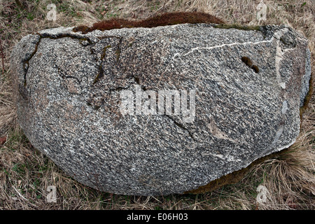 Granittextur in Nahaufnahme Valkas Region Lettland Stockfoto