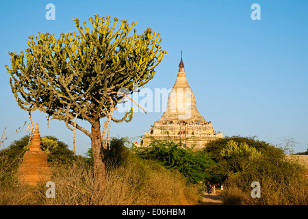 Shwesandaw Pagode, Old Bagan, Myanmar, Asien Stockfoto