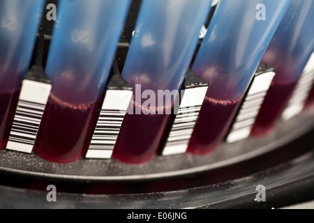 Probe im Labor Zentrifuge Blood - Nahaufnahme Stockfoto