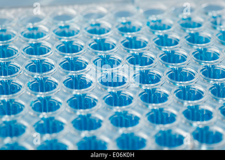 Tief Bohrlochtests Tablett Stockfoto