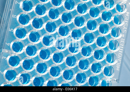 Tief Bohrlochtests Tablett Stockfoto