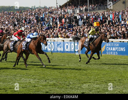 Newmarket, Großbritannien. 4. Mai 2014. Miss France unter Maxime Guyon gewinnt die 1000 Guineas während des 2014 Guineen Festivals von Newmarket. Bildnachweis: Aktion Plus Sport/Alamy Live-Nachrichten Stockfoto