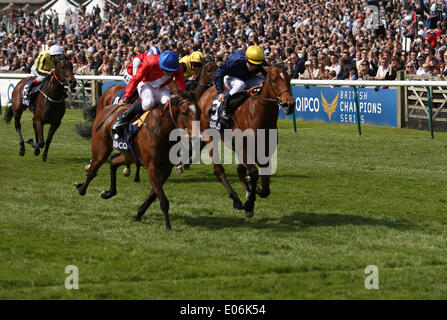 Newmarket, Großbritannien. 4. Mai 2014. Esoterique unter Maxime Guyon gewinnt die Katar Bloodstock Dahlia Einsätze während des 2014 Guineen Festivals von Newmarket. Bildnachweis: Aktion Plus Sport/Alamy Live-Nachrichten Stockfoto